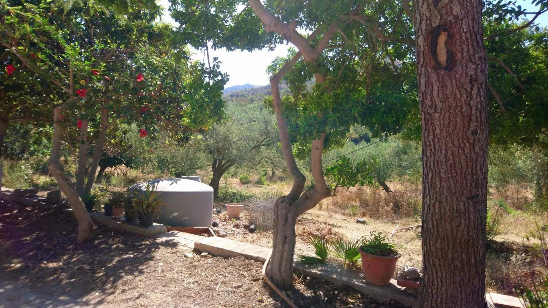 Linati'S Apartments Pollina